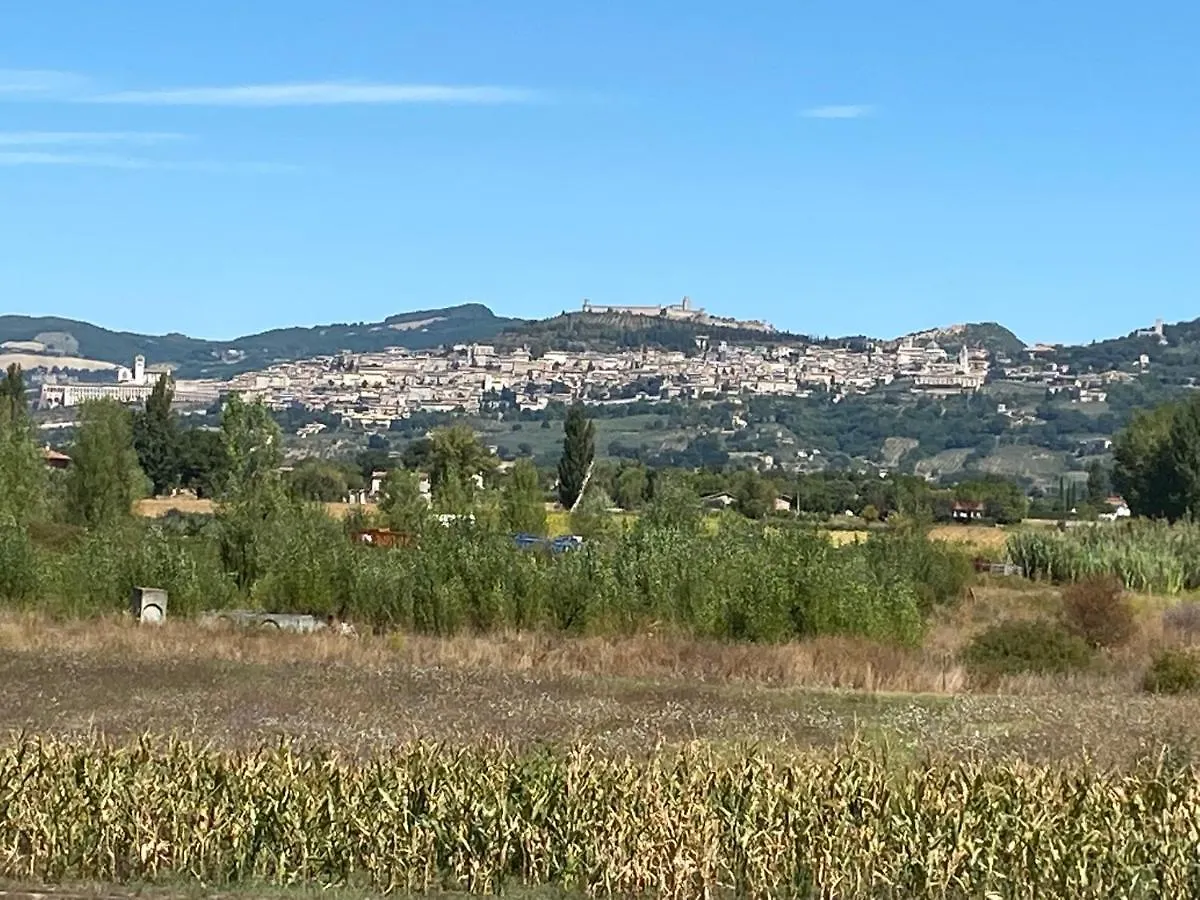 Bed & Breakfast Bella Assisi B & B